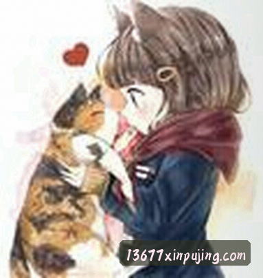 张磊
